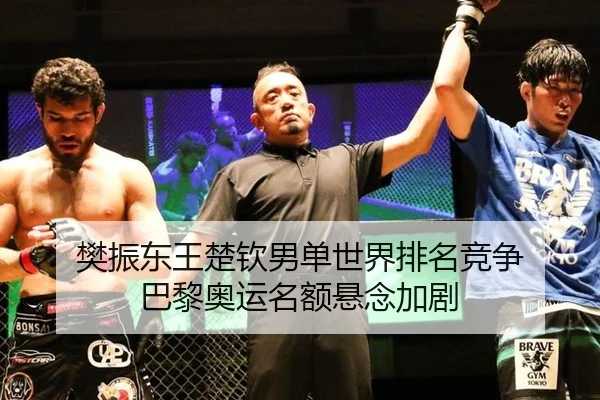 樊振东王楚钦男单世界排名竞争 巴黎奥运名额悬念加剧